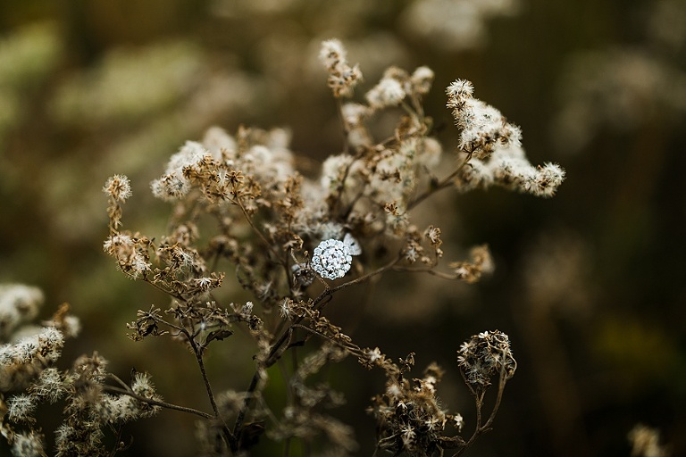 Farm Engagement Session St Charles Photographer Rebecca Chapman Photography Outdoor Fall Warrenton Missouri Ring Shot Details 