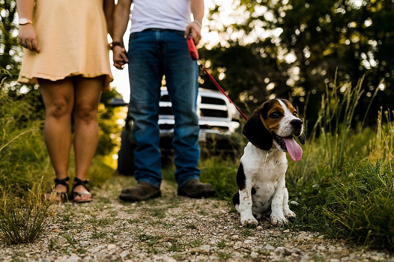 Family Farm Engagement Session St Charles Wedding and Engagement Photographer Rebecca Chapman Photography Outdoor Fall Puppies Dodge Truck Field