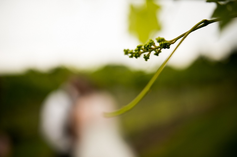 Noboleis Vineyards Wedding | Noboleis vineyards | Noboleis Winery | Augusta Missouri Winery | Winery Wedding | Noboleis Vineyards Wedding Photographer | Winery Photographer | St Charles Wedding Photographer | Warrenton Missouri Wedding Photographer | Rustic Wedding | Country Wedding |