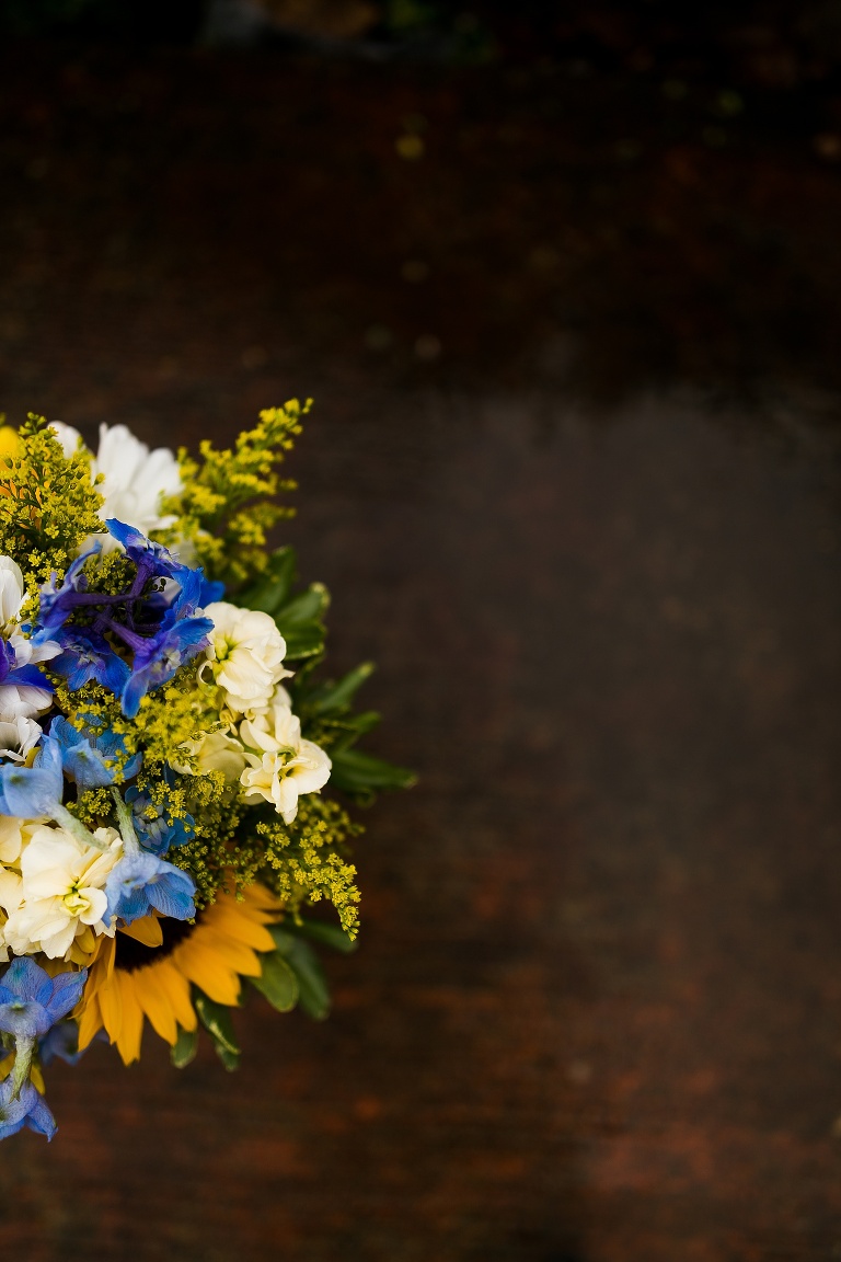 Pea Ridge Farms | St Charles Wedding Photographer | Warrenton Missouri Wedding Photographer | Spring Wedding | Herman Missouri | Warrenton MO | Blues Fans | Country wedding | Rustic | Boots and Lace |