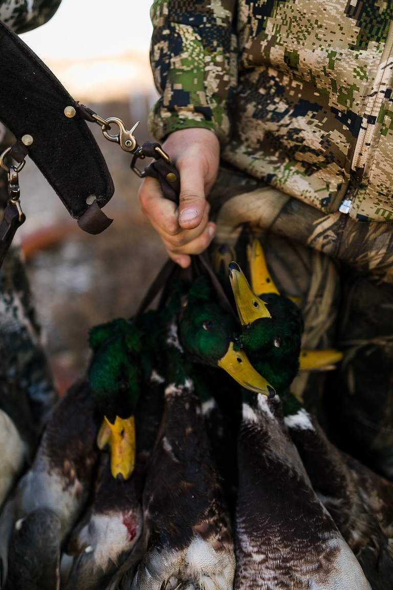 Salt Plains Ranch | Salt Plains Ranch Kiowa Kansas | Salt Plains Ranch Hunts | Salt Plains Ranch Wildlife Photographer | Salt Plains Ranch Photographer | Salt Plains Ranch Waterfowl Hunts | Salt Plains Ranch Oklahoma | Salt Plains Ranch River Bank Hunts | Salt Plains Ranch Flooded Field Hunts | St Charles Missouri Photographer | Warrenton Missouri Photographer