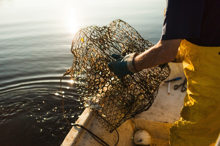  St Charles Travel Photographer | Adventure Photographer | Blue Crab Fishing | Punta Gorda Florida | Punta Gorda Florida Photographer | Fish and Wildlife Photographer | Blue Crab Photographer