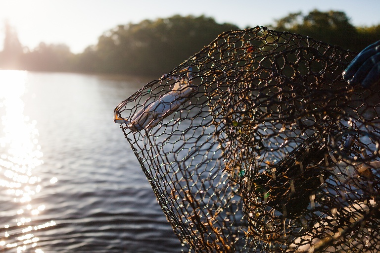  St Charles Travel Photographer | Adventure Photographer | Blue Crab Fishing | Punta Gorda Florida | Punta Gorda Florida Photographer | Fish and Wildlife Photographer | Blue Crab Photographer