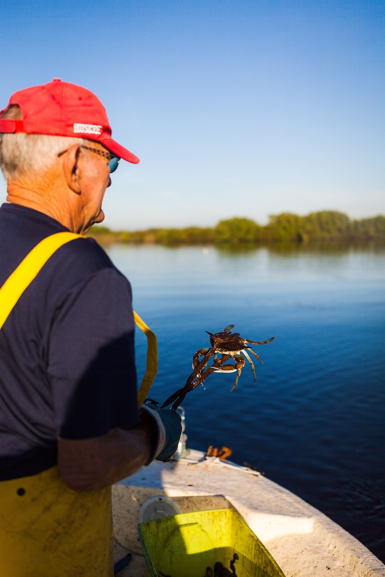  St Charles Travel Photographer | Adventure Photographer | Blue Crab Fishing | Punta Gorda Florida | Punta Gorda Florida Photographer | Fish and Wildlife Photographer | Blue Crab Photographer
