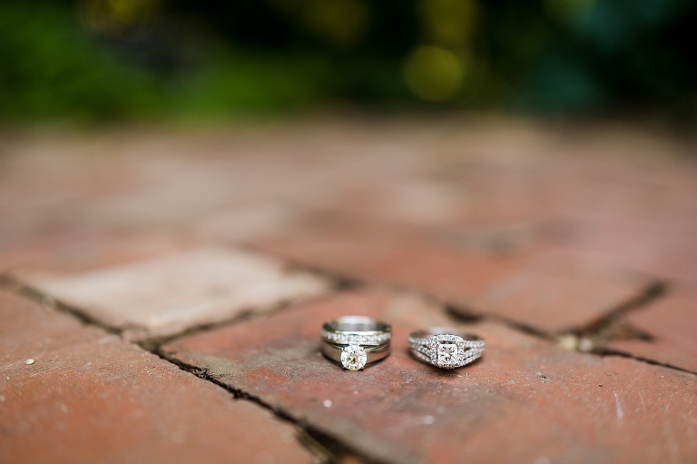 St Charles Conservatory Wedding | Downtown St Charles Wedding | Main Street St Charles | St Charles Wedding Photographer | Warrenton Wedding Photographer | Same Sex Wedding | Same Sex Wedding Photographer | St Charles Missouri | Warrenton Missouri | 