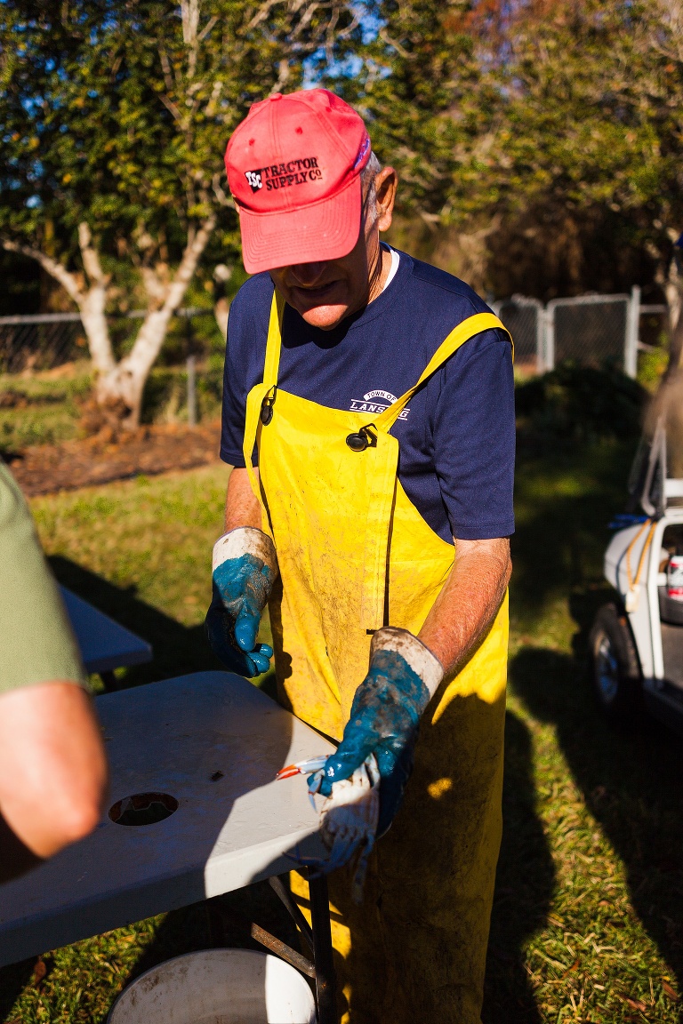 Punta Gorda Florida | Punta Gorda Florida Photographer | Punta Gorda Florida Blue Crabs | Punta Gorda Florida Blue Crab fishing | St Charles Travel Photographer | St Charles photographer |