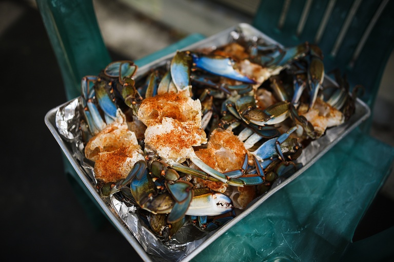 Punta Gorda Florida | Punta Gorda Florida Photographer | Punta Gorda Florida Blue Crabs | Punta Gorda Florida Blue Crab fishing | St Charles Travel Photographer | St Charles photographer |
