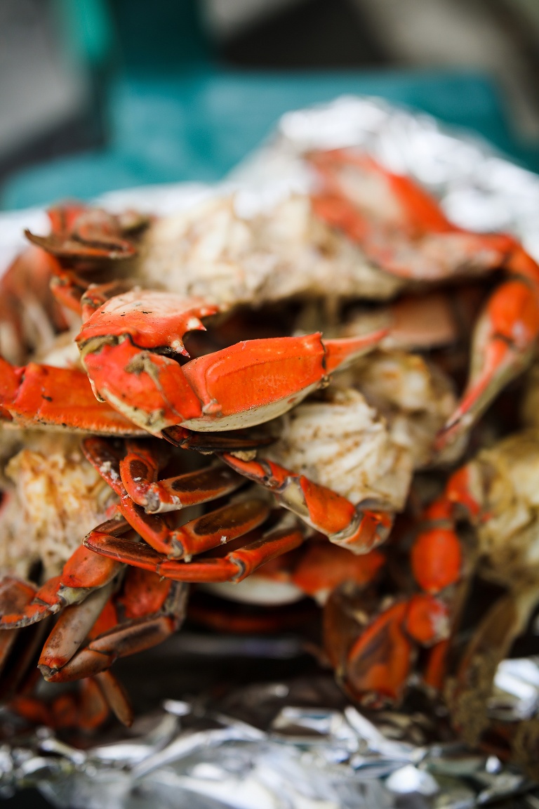 Punta Gorda Florida | Punta Gorda Florida Photographer | Punta Gorda Florida Blue Crabs | Punta Gorda Florida Blue Crab fishing | St Charles Travel Photographer | St Charles photographer |