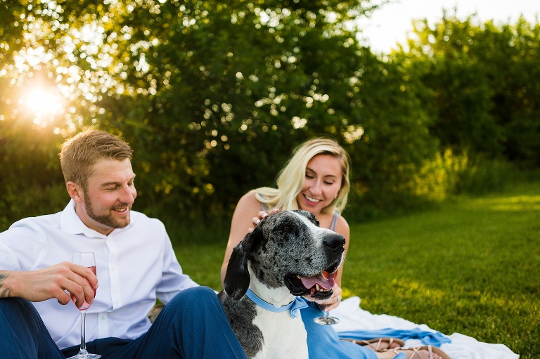 St Charles Engagement and Wedding Photographer | St Charles Engagement and Wedding Photographer | Warrenton Mo Engagement and Wedding Photographer | Warrenton Mo Photographer | Wright City Mo Engagement and Wedding Photographer | Wright City Mo Photographer | St Louis Engagement and Wedding Photographer | St Louis Photographer | Missouri Engagement and Wedding Photographer | Missouri Photographer | Puppies | Dog Engagement Session | Dog and Bow Tie | Wild Flower Engagement Session | Field Couples Session | Engagement poses | Couples Poses | My humans are getting Married |