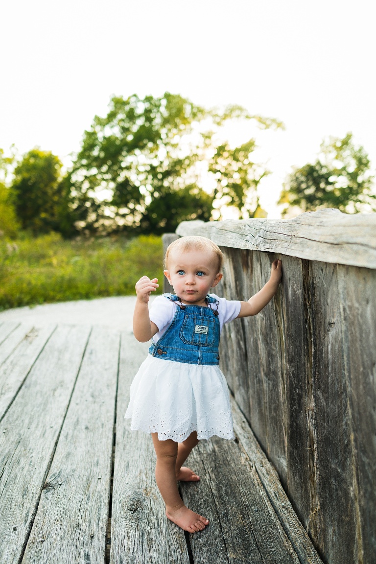 St Charles Photographer | St Charles Photographer | Warrenton Mo Photographer | Warrenton Mo Photographer | Wright City Mo Photographer | Wright City Mo Photographer | St Louis Photographer | St Louis Photographer | Missouri Photographer | Missouri Photographer |  Towne Park | Towne park Photographer | Towne Park Photo session | First Birthday Session | First Birthday Photo Shoot | Family of three | Family of three photo session | Fall Portraits | Fall Family photos | Fall Photo Shoot | Field photo shoot | 