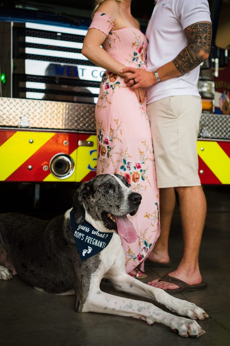 St Charles Photographer | St Charles Photographer | Warrenton Mo Photographer | Warrenton Mo Photographer | Wright City Mo Photographer | Wright City Mo Photographer | St Louis Photographer | St Louis Photographer | Missouri Photographer | Missouri Photographer | Warrenton Mo Family Photographer | Warrenton Mo Family Photo Shoot | Fireman Photo Shoot | Fireman Photo Session | Firehouse photo shoot | Firehouse Photo Session | Fireman Baby | Future FireFighter | Firefighter Photo Shoot | Firefighter Photo Session | Firefighter baby announcement | Baby Announcement |  Dogs of Instagram | photogenic Dog | Dog Model | Dog Big Brother | I am going to be a Big Brother |  Fireman FireFighter Fire House Fireman FireFighter Fire House Fireman FireFighter Fire House Fireman FireFighter Fire House Fireman FireFighter Fire House Fireman FireFighter Fire House Fireman FireFighter Fire House Fireman FireFighter Fire House Fireman FireFighter Fire House Fireman FireFighter Fire House Fireman FireFighter Fire House Fireman FireFighter Fire House Fireman FireFighter Fire House Fireman FireFighter Fire House Fireman FireFighter Fire House Fireman FireFighter Fire House Fireman FireFighter Fire House 