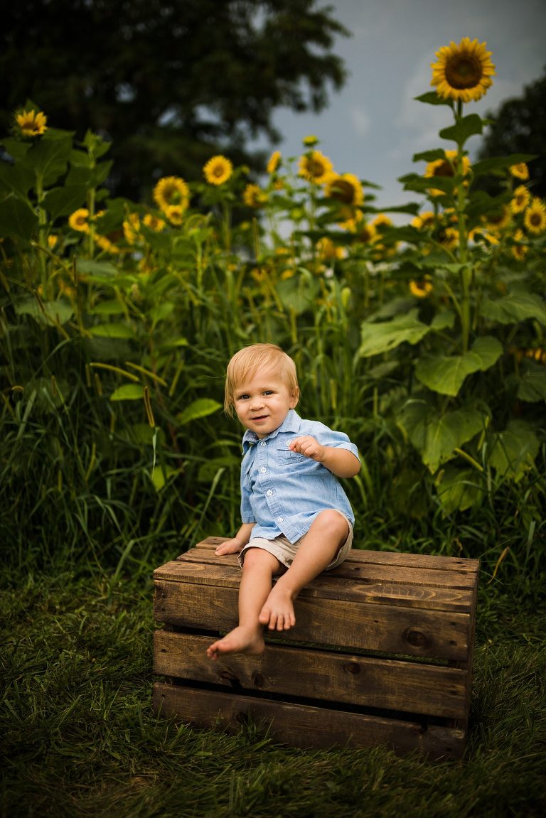 St Charles Photographer | St Charles Photographer | Warrenton Mo Photographer | Warrenton Mo Photographer | Wright City Mo Photographer | Wright City Mo Photographer | St Louis Photographer | St Louis Photographer | Missouri Photographer | Missouri Photographer | Warrenton Mo Family Photographer | Warrenton Mo Family Photo Shoot | Warrenton Mo Spring Family Photo Session | Summer Outdoor Family Session | Summer Outdoor Family Photo Shoot | Summer Outdoor Family Photographer | Summer Outdoor Family Photographer | Sunflower Minis | Sunflower photo Shoot | Sunflower field photography | Sunflower Photographer| Sunflower Couples Session | Sunflower Family Session | Sunflower Sunset Session | SunflowerEngagement Session | Jonesburg Missouri Sunflowers | Jonesburg Missouri Sunflower mini Session | Jonesburg Missouri Sunflower Mini Photo Shoot | Jonesburg Missouri Sunflower Photographer |