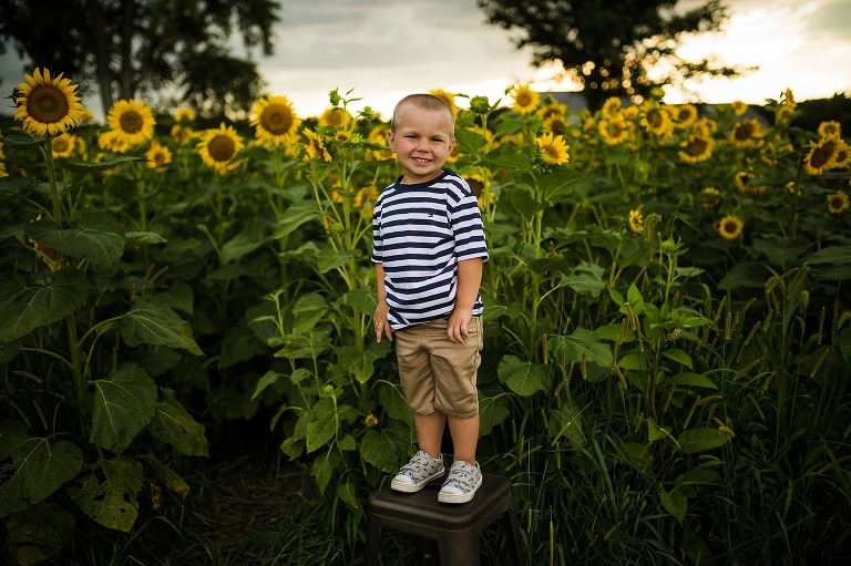 St Charles Photographer | St Charles Photographer | Warrenton Mo Photographer | Warrenton Mo Photographer | Wright City Mo Photographer | Wright City Mo Photographer | St Louis Photographer | St Louis Photographer | Missouri Photographer | Missouri Photographer | Warrenton Mo Family Photographer | Warrenton Mo Family Photo Shoot | Warrenton Mo Spring Family Photo Session | Summer Outdoor Family Session | Summer Outdoor Family Photo Shoot | Summer Outdoor Family Photographer | Summer Outdoor Family Photographer | Sunflower Minis | Sunflower photo Shoot | Sunflower field photography | Sunflower Photographer| Sunflower Couples Session | Sunflower Family Session | Sunflower Sunset Session | SunflowerEngagement Session | Jonesburg Missouri Sunflowers | Jonesburg Missouri Sunflower mini Session | Jonesburg Missouri Sunflower Mini Photo Shoot | Jonesburg Missouri Sunflower Photographer |