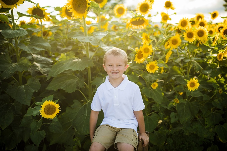 St Charles Photographer | St Charles Photographer | Warrenton Mo Photographer | Warrenton Mo Photographer | Wright City Mo Photographer | Wright City Mo Photographer | St Louis Photographer | St Louis Photographer | Missouri Photographer | Missouri Photographer | Warrenton Mo Family Photographer | Warrenton Mo Family Photo Shoot | Warrenton Mo Spring Family Photo Session | Summer Outdoor Family Session | Summer Outdoor Family Photo Shoot | Summer Outdoor Family Photographer | Summer Outdoor Family Photographer | Sunflower Minis | Sunflower photo Shoot | Sunflower field photography | Sunflower Photographer| Sunflower Couples Session | Sunflower Family Session | Sunflower Sunset Session | SunflowerEngagement Session | Jonesburg Missouri Sunflowers | Jonesburg Missouri Sunflower mini Session | Jonesburg Missouri Sunflower Mini Photo Shoot | Jonesburg Missouri Sunflower Photographer |