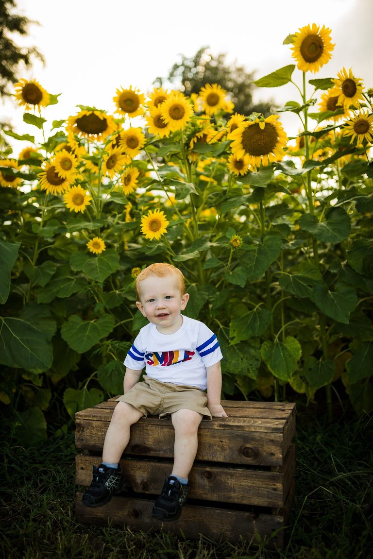 St Charles Photographer | St Charles Photographer | Warrenton Mo Photographer | Warrenton Mo Photographer | Wright City Mo Photographer | Wright City Mo Photographer | St Louis Photographer | St Louis Photographer | Missouri Photographer | Missouri Photographer | Warrenton Mo Family Photographer | Warrenton Mo Family Photo Shoot | Warrenton Mo Spring Family Photo Session | Summer Outdoor Family Session | Summer Outdoor Family Photo Shoot | Summer Outdoor Family Photographer | Summer Outdoor Family Photographer | Sunflower Minis | Sunflower photo Shoot | Sunflower field photography | Sunflower Photographer| Sunflower Couples Session | Sunflower Family Session | Sunflower Sunset Session | SunflowerEngagement Session | Jonesburg Missouri Sunflowers | Jonesburg Missouri Sunflower mini Session | Jonesburg Missouri Sunflower Mini Photo Shoot | Jonesburg Missouri Sunflower Photographer |