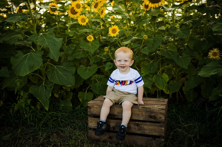 St Charles Photographer | St Charles Photographer | Warrenton Mo Photographer | Warrenton Mo Photographer | Wright City Mo Photographer | Wright City Mo Photographer | St Louis Photographer | St Louis Photographer | Missouri Photographer | Missouri Photographer | Warrenton Mo Family Photographer | Warrenton Mo Family Photo Shoot | Warrenton Mo Spring Family Photo Session | Summer Outdoor Family Session | Summer Outdoor Family Photo Shoot | Summer Outdoor Family Photographer | Summer Outdoor Family Photographer | Sunflower Minis | Sunflower photo Shoot | Sunflower field photography | Sunflower Photographer| Sunflower Couples Session | Sunflower Family Session | Sunflower Sunset Session | SunflowerEngagement Session | Jonesburg Missouri Sunflowers | Jonesburg Missouri Sunflower mini Session | Jonesburg Missouri Sunflower Mini Photo Shoot | Jonesburg Missouri Sunflower Photographer |