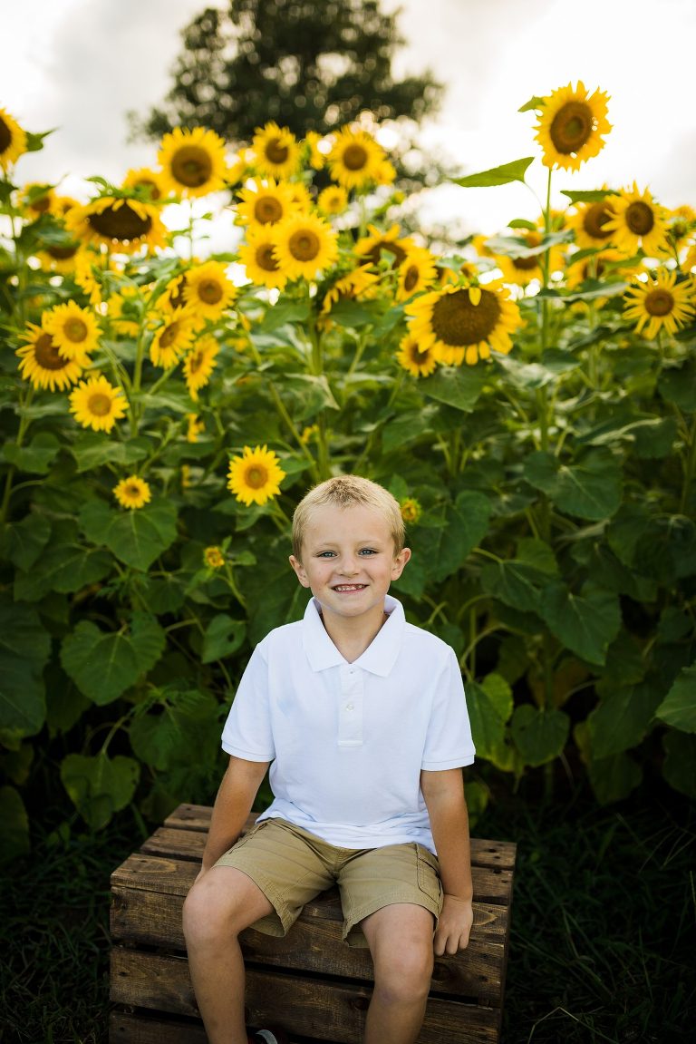 St Charles Photographer | St Charles Photographer | Warrenton Mo Photographer | Warrenton Mo Photographer | Wright City Mo Photographer | Wright City Mo Photographer | St Louis Photographer | St Louis Photographer | Missouri Photographer | Missouri Photographer | Warrenton Mo Family Photographer | Warrenton Mo Family Photo Shoot | Warrenton Mo Spring Family Photo Session | Summer Outdoor Family Session | Summer Outdoor Family Photo Shoot | Summer Outdoor Family Photographer | Summer Outdoor Family Photographer | Sunflower Minis | Sunflower photo Shoot | Sunflower field photography | Sunflower Photographer| Sunflower Couples Session | Sunflower Family Session | Sunflower Sunset Session | SunflowerEngagement Session | Jonesburg Missouri Sunflowers | Jonesburg Missouri Sunflower mini Session | Jonesburg Missouri Sunflower Mini Photo Shoot | Jonesburg Missouri Sunflower Photographer |