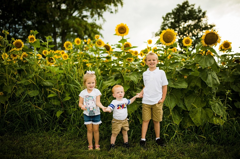 St Charles Photographer | St Charles Photographer | Warrenton Mo Photographer | Warrenton Mo Photographer | Wright City Mo Photographer | Wright City Mo Photographer | St Louis Photographer | St Louis Photographer | Missouri Photographer | Missouri Photographer | Warrenton Mo Family Photographer | Warrenton Mo Family Photo Shoot | Warrenton Mo Spring Family Photo Session | Summer Outdoor Family Session | Summer Outdoor Family Photo Shoot | Summer Outdoor Family Photographer | Summer Outdoor Family Photographer | Sunflower Minis | Sunflower photo Shoot | Sunflower field photography | Sunflower Photographer| Sunflower Couples Session | Sunflower Family Session | Sunflower Sunset Session | SunflowerEngagement Session | Jonesburg Missouri Sunflowers | Jonesburg Missouri Sunflower mini Session | Jonesburg Missouri Sunflower Mini Photo Shoot | Jonesburg Missouri Sunflower Photographer |