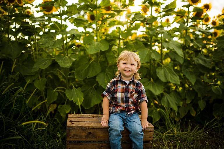 St Charles Photographer | St Charles Photographer | Warrenton Mo Photographer | Warrenton Mo Photographer | Wright City Mo Photographer | Wright City Mo Photographer | St Louis Photographer | St Louis Photographer | Missouri Photographer | Missouri Photographer | Warrenton Mo Family Photographer | Warrenton Mo Family Photo Shoot | Warrenton Mo Spring Family Photo Session | Summer Outdoor Family Session | Summer Outdoor Family Photo Shoot | Summer Outdoor Family Photographer | Summer Outdoor Family Photographer | Sunflower Minis | Sunflower photo Shoot | Sunflower field photography | Sunflower Photographer| Sunflower Couples Session | Sunflower Family Session | Sunflower Sunset Session | SunflowerEngagement Session | Jonesburg Missouri Sunflowers | Jonesburg Missouri Sunflower mini Session | Jonesburg Missouri Sunflower Mini Photo Shoot | Jonesburg Missouri Sunflower Photographer |