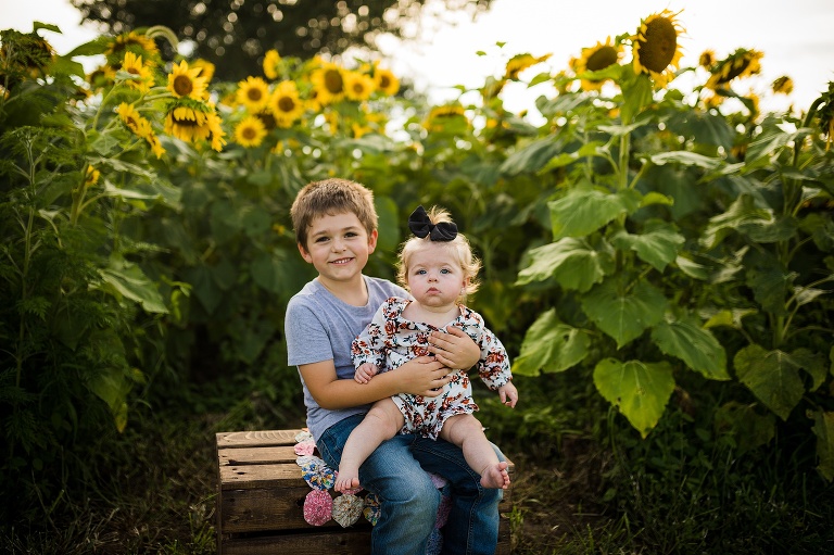 St Charles Photographer | St Charles Photographer | Warrenton Mo Photographer | Warrenton Mo Photographer | Wright City Mo Photographer | Wright City Mo Photographer | St Louis Photographer | St Louis Photographer | Missouri Photographer | Missouri Photographer | Warrenton Mo Family Photographer | Warrenton Mo Family Photo Shoot | Warrenton Mo Spring Family Photo Session | Summer Outdoor Family Session | Summer Outdoor Family Photo Shoot | Summer Outdoor Family Photographer | Summer Outdoor Family Photographer | Sunflower Minis | Sunflower photo Shoot | Sunflower field photography | Sunflower Photographer| Sunflower Couples Session | Sunflower Family Session | Sunflower Sunset Session | SunflowerEngagement Session | Jonesburg Missouri Sunflowers | Jonesburg Missouri Sunflower mini Session | Jonesburg Missouri Sunflower Mini Photo Shoot | Jonesburg Missouri Sunflower Photographer |