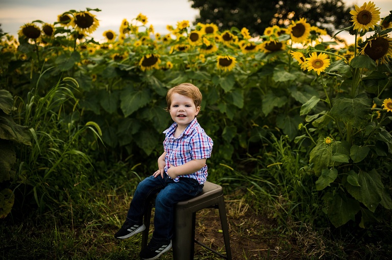 St Charles Photographer | St Charles Photographer | Warrenton Mo Photographer | Warrenton Mo Photographer | Wright City Mo Photographer | Wright City Mo Photographer | St Louis Photographer | St Louis Photographer | Missouri Photographer | Missouri Photographer | Warrenton Mo Family Photographer | Warrenton Mo Family Photo Shoot | Warrenton Mo Spring Family Photo Session | Summer Outdoor Family Session | Summer Outdoor Family Photo Shoot | Summer Outdoor Family Photographer | Summer Outdoor Family Photographer | Sunflower Minis | Sunflower photo Shoot | Sunflower field photography | Sunflower Photographer| Sunflower Couples Session | Sunflower Family Session | Sunflower Sunset Session | SunflowerEngagement Session | Jonesburg Missouri Sunflowers | Jonesburg Missouri Sunflower mini Session | Jonesburg Missouri Sunflower Mini Photo Shoot | Jonesburg Missouri Sunflower Photographer |