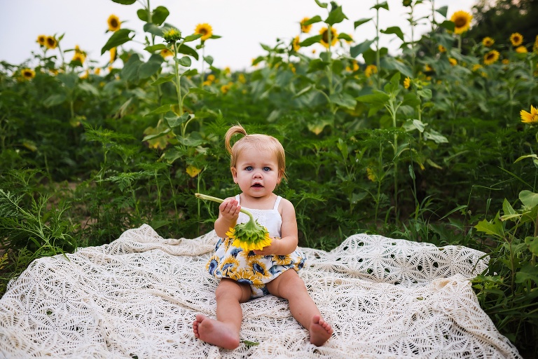 St Charles Photographer | St Charles Photographer | Warrenton Mo Photographer | Warrenton Mo Photographer | Wright City Mo Photographer | Wright City Mo Photographer | St Louis Photographer | St Louis Photographer | Missouri Photographer | Missouri Photographer | Warrenton Mo Family Photographer | Warrenton Mo Family Photo Shoot | Warrenton Mo Spring Family Photo Session | Summer Outdoor Family Session | Summer Outdoor Family Photo Shoot | Summer Outdoor Family Photographer | Summer Outdoor Family Photographer | Sunflower Minis | Sunflower photo Shoot | Sunflower field photography | Sunflower Photographer| Sunflower Couples Session | Sunflower Family Session | Sunflower Sunset Session | SunflowerEngagement Session | Jonesburg Missouri Sunflowers | Jonesburg Missouri Sunflower mini Session | Jonesburg Missouri Sunflower Mini Photo Shoot | Jonesburg Missouri Sunflower Photographer |