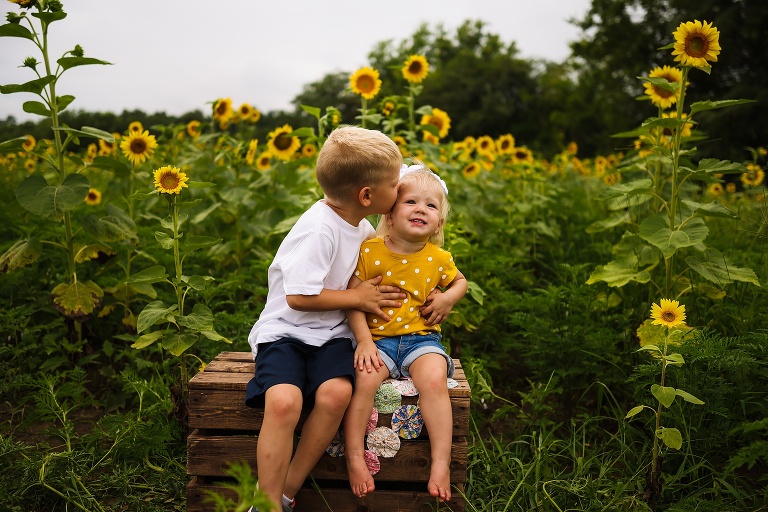 St Charles Photographer | St Charles Photographer | Warrenton Mo Photographer | Warrenton Mo Photographer | Wright City Mo Photographer | Wright City Mo Photographer | St Louis Photographer | St Louis Photographer | Missouri Photographer | Missouri Photographer | Warrenton Mo Family Photographer | Warrenton Mo Family Photo Shoot | Warrenton Mo Spring Family Photo Session | Summer Outdoor Family Session | Summer Outdoor Family Photo Shoot | Summer Outdoor Family Photographer | Summer Outdoor Family Photographer | Sunflower Minis | Sunflower photo Shoot | Sunflower field photography | Sunflower Photographer| Sunflower Couples Session | Sunflower Family Session | Sunflower Sunset Session | SunflowerEngagement Session | Jonesburg Missouri Sunflowers | Jonesburg Missouri Sunflower mini Session | Jonesburg Missouri Sunflower Mini Photo Shoot | Jonesburg Missouri Sunflower Photographer | Warrenton Missouri Sunflower Photographer