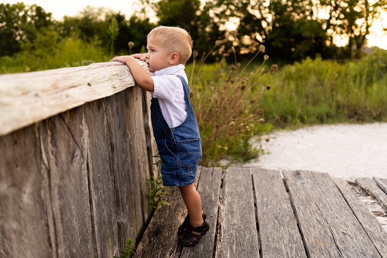 St Charles Photographer | Missouri Family Photographer | Warrenton Missouri Photographer | Towne Park Photographer |