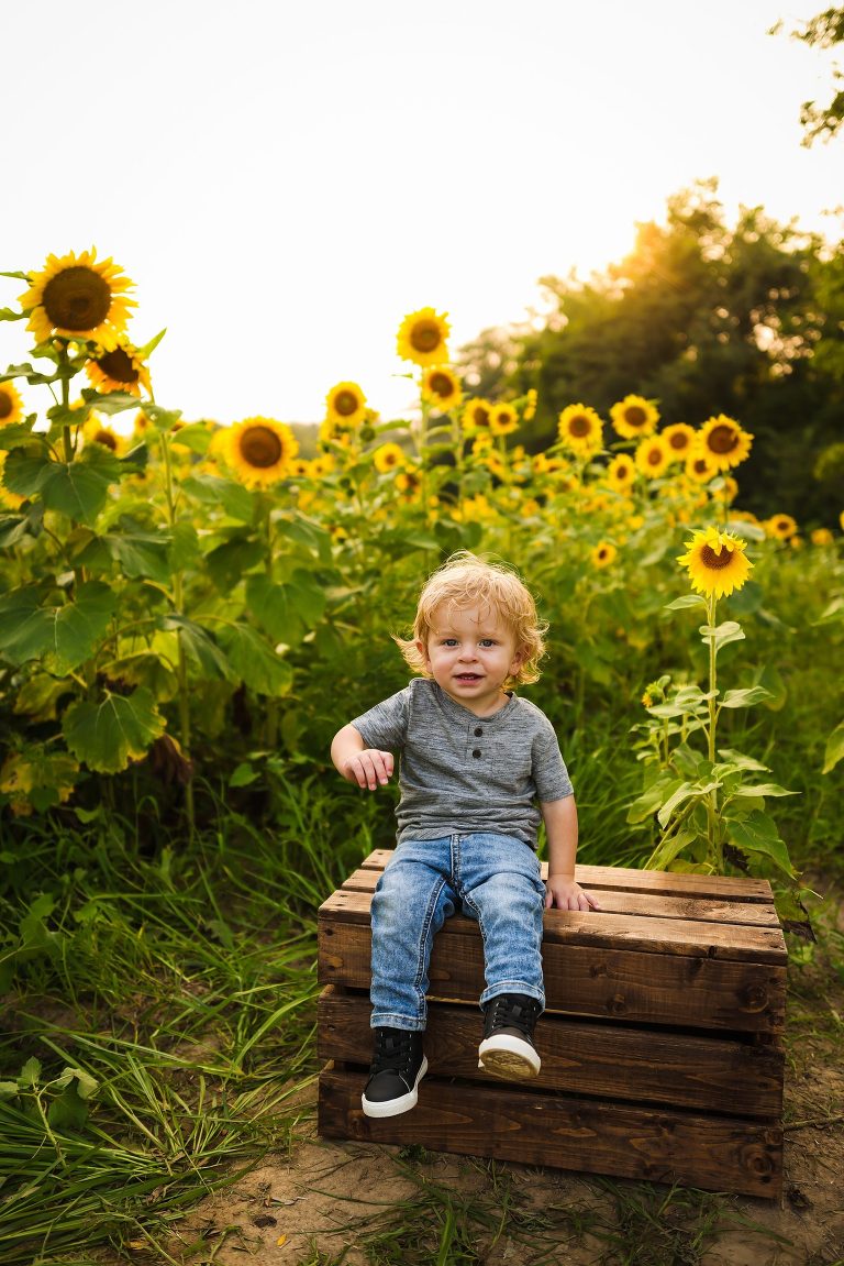 St Charles Photographer | St Charles Photographer | Warrenton Mo Photographer | Warrenton Mo Photographer | Wright City Mo Photographer | Wright City Mo Photographer | St Louis Photographer | St Louis Photographer | Missouri Photographer | Missouri Photographer | Warrenton Mo Family Photographer | Warrenton Mo Family Photo Shoot | Warrenton Mo Spring Family Photo Session | Summer Outdoor Family Session | Summer Outdoor Family Photo Shoot | Summer Outdoor Family Photographer | Summer Outdoor Family Photographer | Sunflower Minis | Sunflower photo Shoot | Sunflower field photography | Sunflower Photographer| Sunflower Couples Session | Sunflower Family Session | Sunflower Sunset Session | SunflowerEngagement Session | Jonesburg Missouri Sunflowers | Jonesburg Missouri Sunflower mini Session | Jonesburg Missouri Sunflower Mini Photo Shoot | Jonesburg Missouri Sunflower Photographer | Warrenton Missouri Sunflower Photographer | Missouri Family Sunflower Photographer