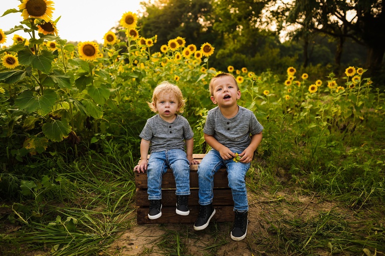 St Charles Photographer | St Charles Photographer | Warrenton Mo Photographer | Warrenton Mo Photographer | Wright City Mo Photographer | Wright City Mo Photographer | St Louis Photographer | St Louis Photographer | Missouri Photographer | Missouri Photographer | Warrenton Mo Family Photographer | Warrenton Mo Family Photo Shoot | Warrenton Mo Spring Family Photo Session | Summer Outdoor Family Session | Summer Outdoor Family Photo Shoot | Summer Outdoor Family Photographer | Summer Outdoor Family Photographer | Sunflower Minis | Sunflower photo Shoot | Sunflower field photography | Sunflower Photographer| Sunflower Couples Session | Sunflower Family Session | Sunflower Sunset Session | SunflowerEngagement Session | Jonesburg Missouri Sunflowers | Jonesburg Missouri Sunflower mini Session | Jonesburg Missouri Sunflower Mini Photo Shoot | Jonesburg Missouri Sunflower Photographer | Warrenton Missouri Sunflower Photographer | Missouri Family Sunflower Photographer