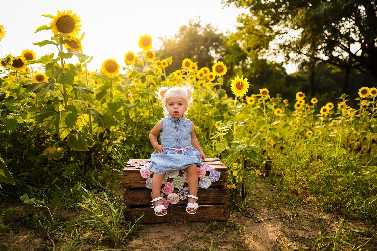 St Charles Photographer | St Charles Photographer | Warrenton Mo Photographer | Warrenton Mo Photographer | Wright City Mo Photographer | Wright City Mo Photographer | St Louis Photographer | St Louis Photographer | Missouri Photographer | Missouri Photographer | Warrenton Mo Family Photographer | Warrenton Mo Family Photo Shoot | Warrenton Mo Spring Family Photo Session | Summer Outdoor Family Session | Summer Outdoor Family Photo Shoot | Summer Outdoor Family Photographer | Summer Outdoor Family Photographer | Sunflower Minis | Sunflower photo Shoot | Sunflower field photography | Sunflower Photographer| Sunflower Couples Session | Sunflower Family Session | Sunflower Sunset Session | SunflowerEngagement Session | Jonesburg Missouri Sunflowers | Jonesburg Missouri Sunflower mini Session | Jonesburg Missouri Sunflower Mini Photo Shoot | Jonesburg Missouri Sunflower Photographer | Warrenton Missouri Sunflower Photographer | Missouri Sunflower Family Photo Shoot