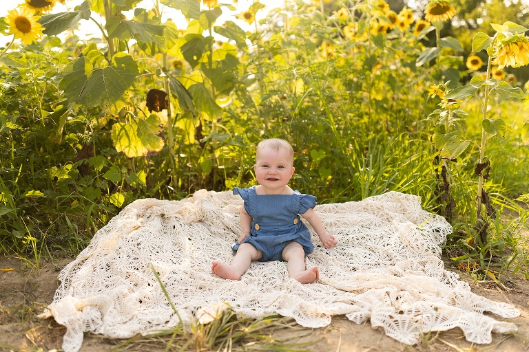 St Charles Photographer | St Charles Photographer | Warrenton Mo Photographer | Warrenton Mo Photographer | Wright City Mo Photographer | Wright City Mo Photographer | St Louis Photographer | St Louis Photographer | Missouri Photographer | Missouri Photographer | Warrenton Mo Family Photographer | Warrenton Mo Family Photo Shoot | Warrenton Mo Spring Family Photo Session | Summer Outdoor Family Session | Summer Outdoor Family Photo Shoot | Summer Outdoor Family Photographer | Summer Outdoor Family Photographer | Sunflower Minis | Sunflower photo Shoot | Sunflower field photography | Sunflower Photographer| Sunflower Couples Session | Sunflower Family Session | Sunflower Sunset Session | SunflowerEngagement Session | Jonesburg Missouri Sunflowers | Jonesburg Missouri Sunflower mini Session | Jonesburg Missouri Sunflower Mini Photo Shoot | Jonesburg Missouri Sunflower Photographer | Warrenton Missouri Sunflower Photographer | Warrenton Family Sunflower Session | Warrenton Family Sunflower Session | Warrenton Family Sunflower Session | Warrenton Family Sunflower Session | Warrenton Family Sunflower Session | Warrenton Family Sunflower Session | Warrenton Family Sunflower Session | Warrenton Family Sunflower Session | Warrenton Family Sunflower Session | Warrenton Family Sunflower Session | Warrenton Family Sunflower Session | Warrenton Family Sunflower Session | Warrenton Family Sunflower Session | Warrenton Family Sunflower Session | Warrenton Family Sunflower Session | Warrenton Family Sunflower Session | Warrenton Family Sunflower Session | St Charles Family of 3 Sunflowers | St Charles Family of 3 Sunflowers | St Charles Family of 3 Sunflowers | St Charles Family of 3 Sunflowers | St Charles Family of 3 Sunflowers | St Charles Family of 3 Sunflowers | St Charles Family of 3 Sunflowers | St Charles Family of 3 Sunflowers | St Charles Family of 3 Sunflowers | St Charles Family of 3 Sunflowers | St Charles Family of 3 Sunflowers | St Charles Family of 3 Sunflowers | St Charles Family of 3 Sunflowers | St Charles Family of 3 Sunflowers | St Charles Family of 3 Sunflowers | St Charles Family of 3 Sunflowers | St Charles Family of 3 Sunflowers | St Charles Family of 3 Sunflowers |
