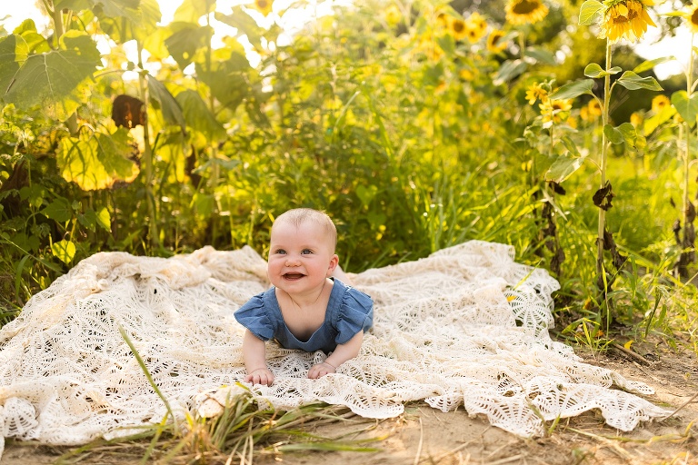 St Charles Photographer | St Charles Photographer | Warrenton Mo Photographer | Warrenton Mo Photographer | Wright City Mo Photographer | Wright City Mo Photographer | St Louis Photographer | St Louis Photographer | Missouri Photographer | Missouri Photographer | Warrenton Mo Family Photographer | Warrenton Mo Family Photo Shoot | Warrenton Mo Spring Family Photo Session | Summer Outdoor Family Session | Summer Outdoor Family Photo Shoot | Summer Outdoor Family Photographer | Summer Outdoor Family Photographer | Sunflower Minis | Sunflower photo Shoot | Sunflower field photography | Sunflower Photographer| Sunflower Couples Session | Sunflower Family Session | Sunflower Sunset Session | SunflowerEngagement Session | Jonesburg Missouri Sunflowers | Jonesburg Missouri Sunflower mini Session | Jonesburg Missouri Sunflower Mini Photo Shoot | Jonesburg Missouri Sunflower Photographer | Warrenton Missouri Sunflower Photographer | Warrenton Family Sunflower Session | Warrenton Family Sunflower Session | Warrenton Family Sunflower Session | Warrenton Family Sunflower Session | Warrenton Family Sunflower Session | Warrenton Family Sunflower Session | Warrenton Family Sunflower Session | Warrenton Family Sunflower Session | Warrenton Family Sunflower Session | Warrenton Family Sunflower Session | Warrenton Family Sunflower Session | Warrenton Family Sunflower Session | Warrenton Family Sunflower Session | Warrenton Family Sunflower Session | Warrenton Family Sunflower Session | Warrenton Family Sunflower Session | Warrenton Family Sunflower Session | St Charles Family of 3 Sunflowers | St Charles Family of 3 Sunflowers | St Charles Family of 3 Sunflowers | St Charles Family of 3 Sunflowers | St Charles Family of 3 Sunflowers | St Charles Family of 3 Sunflowers | St Charles Family of 3 Sunflowers | St Charles Family of 3 Sunflowers | St Charles Family of 3 Sunflowers | St Charles Family of 3 Sunflowers | St Charles Family of 3 Sunflowers | St Charles Family of 3 Sunflowers | St Charles Family of 3 Sunflowers | St Charles Family of 3 Sunflowers | St Charles Family of 3 Sunflowers | St Charles Family of 3 Sunflowers | St Charles Family of 3 Sunflowers | St Charles Family of 3 Sunflowers |