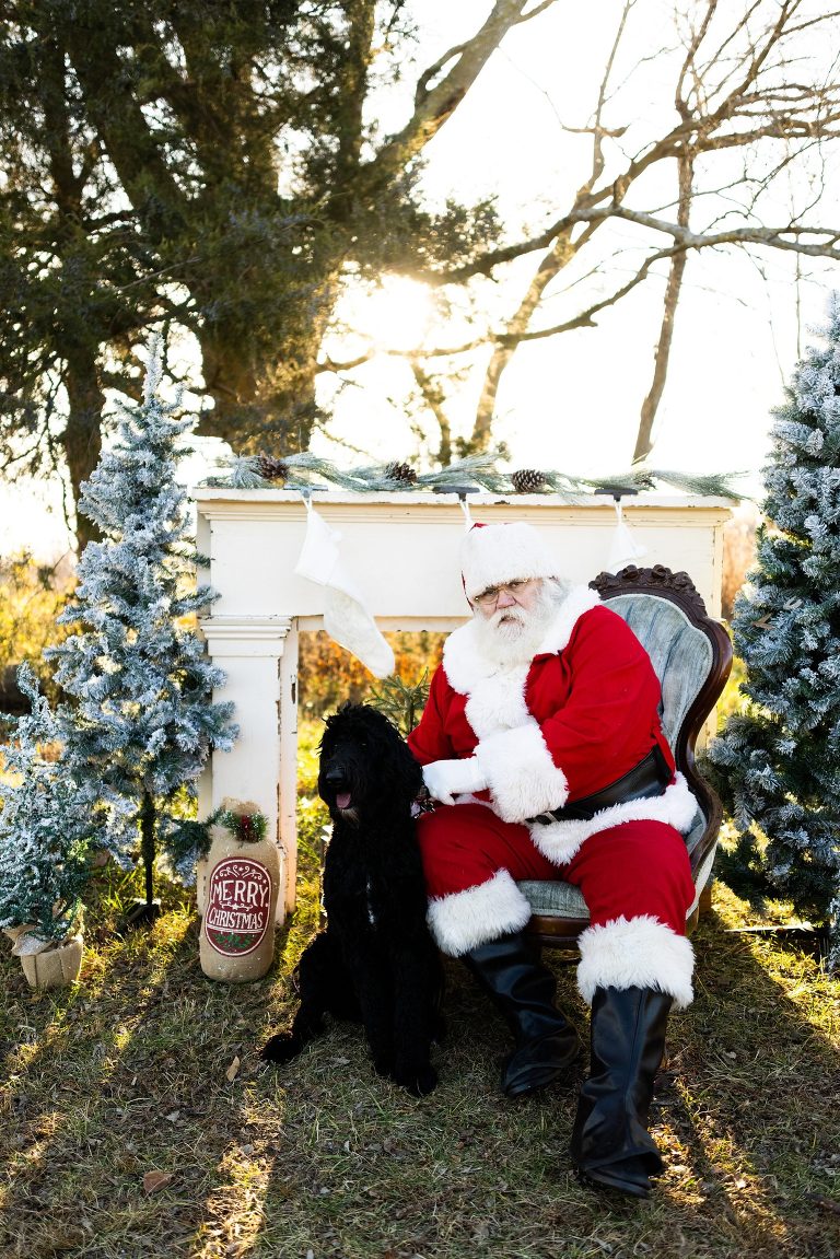 Santa Mini Photo Shoot | Christmas Mini | Santa Claus | Outdoor | Warrenton Missouri | 