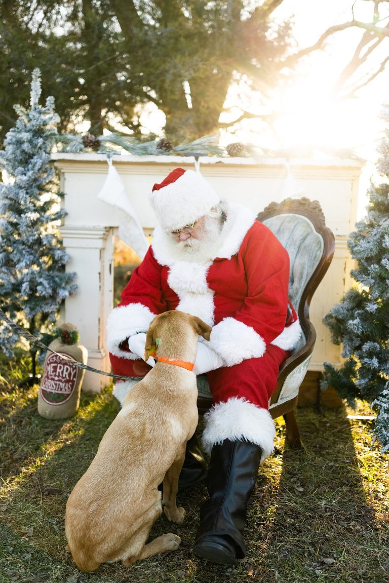 Santa Mini Photo Shoot | Christmas Mini | Santa Claus | Outdoor | Warrenton Missouri | 