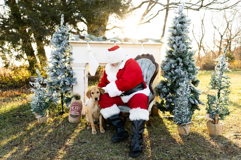 Santa Mini Photo Shoot | Christmas Mini | Santa Claus | Outdoor | Warrenton Missouri | 