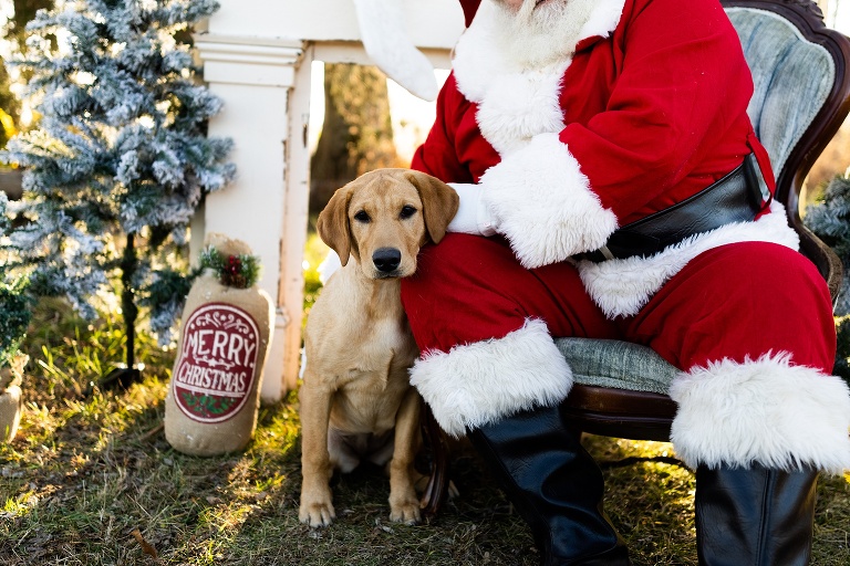Santa Mini Photo Shoot | Christmas Mini | Santa Claus | Outdoor | Warrenton Missouri | 