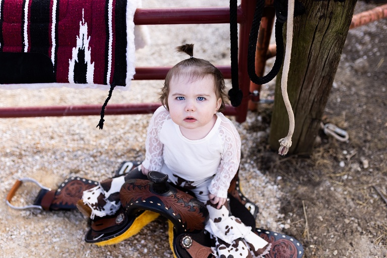 St Charles Photographer | St Charles Photographer | Warrenton Mo Photographer | Warrenton Mo Photographer | Wright City Mo Photographer | Wright City Mo Photographer | St Louis Photographer | St Louis Photographer | Missouri Photographer | Missouri Photographer | Warrenton Mo Family Photographer | Warrenton Mo Family Photo Shoot | Warrenton Mo Spring Family Photo Session | Summer Outdoor Family Session | Summer Outdoor Family Photo Shoot | Summer Outdoor Family Photographer | Summer Outdoor Family Photographer | Missouri Extended Family Photo Shoot | Missouri extended Family Photo Session | 13th Birthday Photo Shoot | 13th Birthday Photo Shoot | 13th Birthday Photo Shoot | 13th Birthday Photo Shoot | 13th Birthday Photo Shoot | 13th Birthday Photo Shoot | 13th Birthday Photo Shoot | 13th Birthday Photo Shoot | 13th Birthday Photo Shoot | 13th Birthday Photo Shoot | 13th Birthday Photo Shoot | Main Street St Charles Missouri | Main Street St Charles Missouri | Main Street St Charles Missouri | Main Street St Charles Missouri |v Main Street St Charles Missouri | Main Street St Charles Missouri | Main Street St Charles Missouri | Main Street St Charles Missouri | Cowgirl First Birthday |