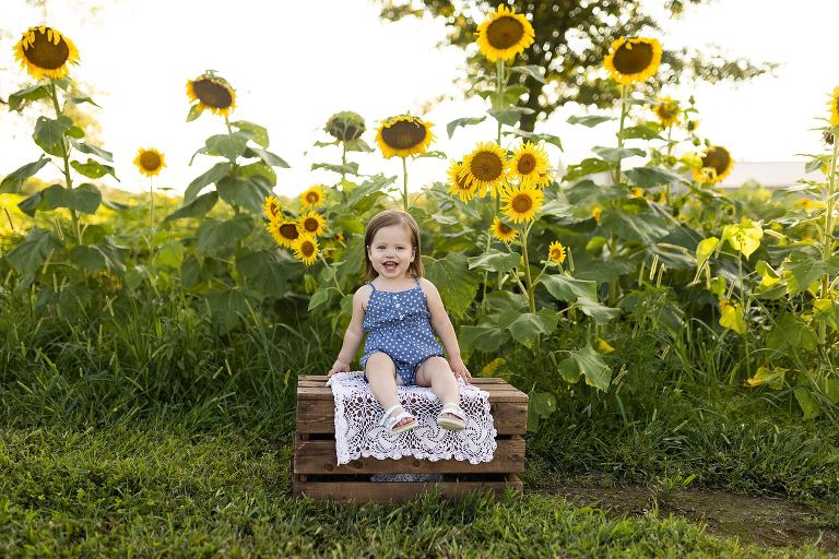 Sunflower Photo Shoot | Rebecca Chapman Photography | Outdoor Photographer | Sunflowers | Sunflower Photographer | Sunflower photos | Sunflower field