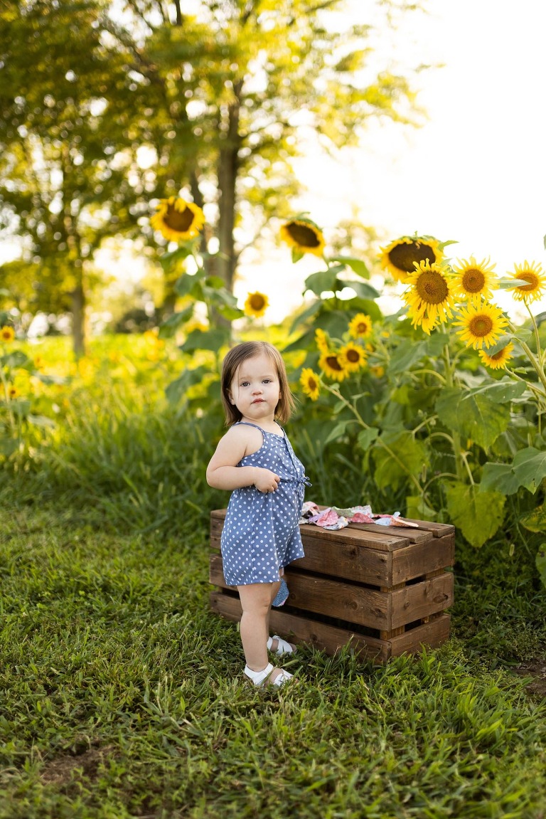 Sunflower Photo Shoot | Rebecca Chapman Photography | Outdoor Photographer | Sunflowers | Sunflower Photographer | Sunflower photos | Sunflower field