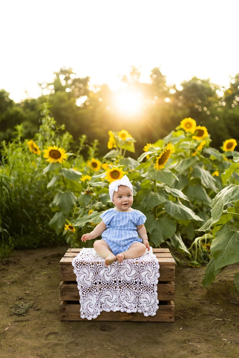 Sunflower Photo Shoot | Rebecca Chapman Photography | Outdoor Photographer | Sunflowers | Sunflower Photographer | Sunflower photos | Sunflower field | Sunflower Field Photo Shoot