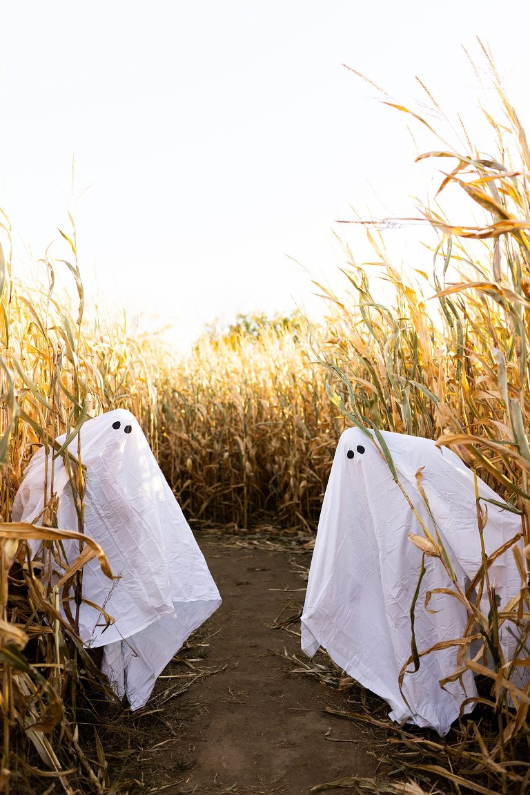 Best Friends Halloween Photo Shoot |  spooky Photo Shoot | ghost Best Friend Session | Pumpkin Head Photo Shoot | St Charles Photographer | St Charles Photographer | Warrenton Mo Photographer | Warrenton Mo Photographer | Wright City Mo Photographer | Wright City Mo Photographer | St Louis Photographer | St Louis Photographer | Missouri Photographer | Missouri Photographer | Warrenton Mo Family Photographer | Warrenton Mo Family Photo Shoot | Warrenton Mo Spring Family Photo Session | Summer Outdoor Family Session | Summer Outdoor Family Photo Shoot | Summer Outdoor Family Photographer | Summer Outdoor Family Photographer |