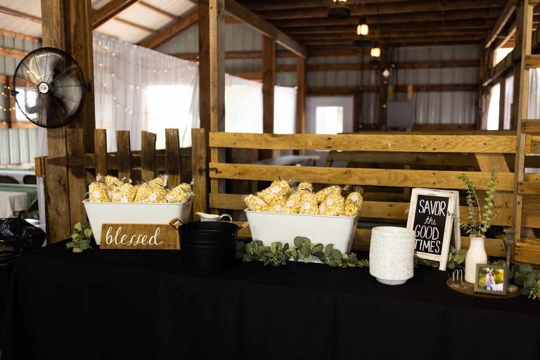 Novelty Missouri Wedding Photographer | Missouri Wedding Photographer | Warrenton Missouri Photographer | High Hill Missouri Photographer | Wentzville Missouri Photographer | Montgomery City Missouri Photographer | Wedding Photographer  Country Wedding | Outdoor Wedding |