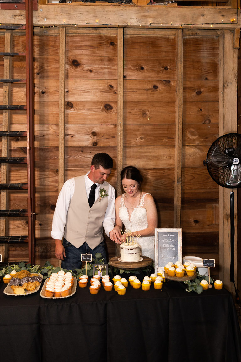 Novelty Missouri Wedding Photographer | Missouri Wedding Photographer | Warrenton Missouri Photographer | High Hill Missouri Photographer | Wentzville Missouri Photographer | Montgomery City Missouri Photographer | Wedding Photographer  Country Wedding | Outdoor Wedding |