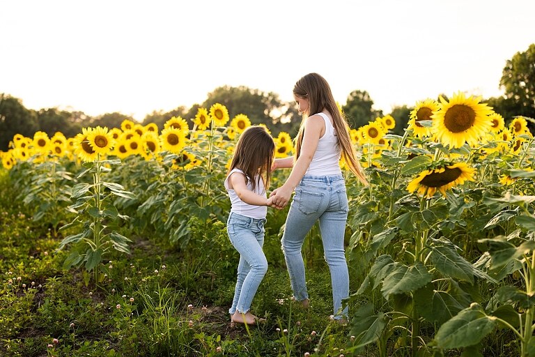 Kids laughing together in a sunflower field during summer family photos | Children exploring sunflowers during family session in Missouri | Missouri photographer Missouri outdoor photographer warrenton MO Jonesburg Montgomery 