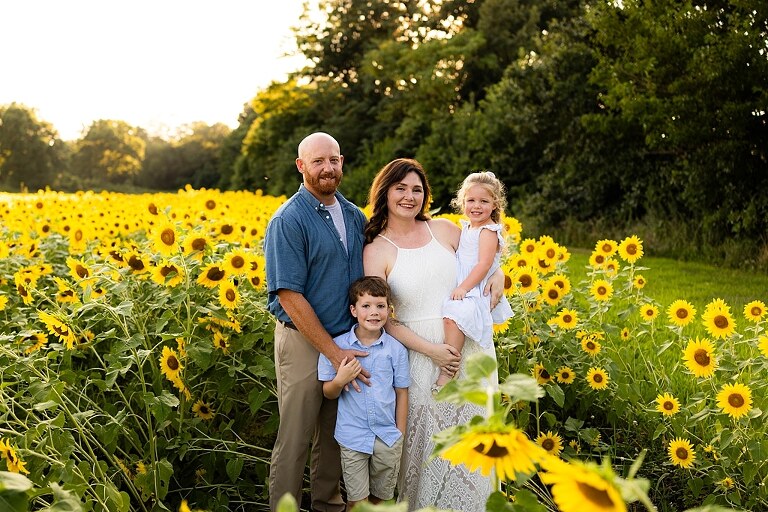 Family of four during sunflower mini photo session in Jonesburg Missouri | Kids smiling in sunflower field during family tradition photo shoot | Family cuddles in sunflower field during summer photos | Missouri Photographer | Outdoor photographer 