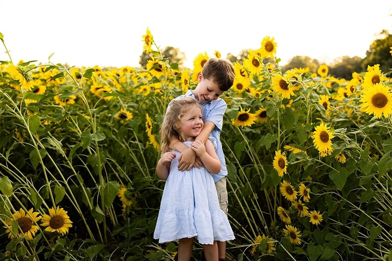 Family of four during sunflower mini photo session in Jonesburg Missouri | Kids smiling in sunflower field during family tradition photo shoot | Family cuddles in sunflower field during summer photos | Missouri Photographer | Outdoor photographer 