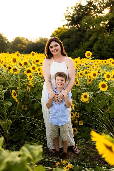 Family of four during sunflower mini photo session in Jonesburg Missouri | Kids smiling in sunflower field during family tradition photo shoot | Family cuddles in sunflower field during summer photos | Missouri Photographer | Outdoor photographer 
