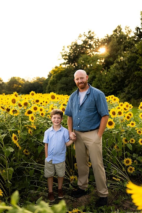 Family of four during sunflower mini photo session in Jonesburg Missouri | Kids smiling in sunflower field during family tradition photo shoot | Family cuddles in sunflower field during summer photos | Missouri Photographer | Outdoor photographer 