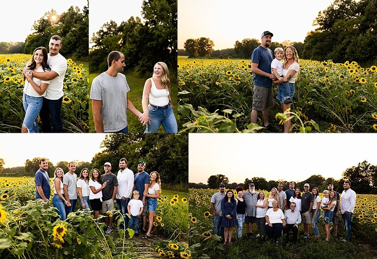 Extended family standing together in a sunflower field smiling during a summer mini session | Grandparents surrounded by their grandchildren in a bright sunflower patch | Large family group walking through sunflowers during a summer photo session